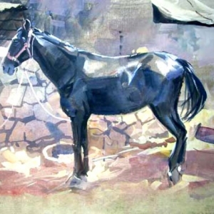 black-horse